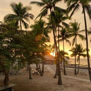 Meet your Posher, Joal